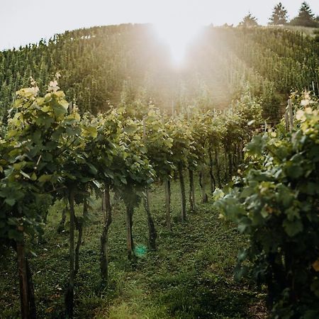 Weingut Meurer Apartment Reil Luaran gambar