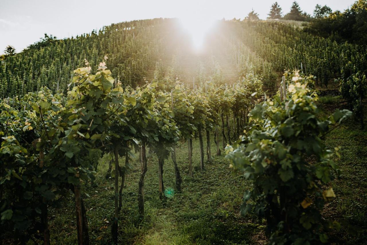 Weingut Meurer Apartment Reil Luaran gambar